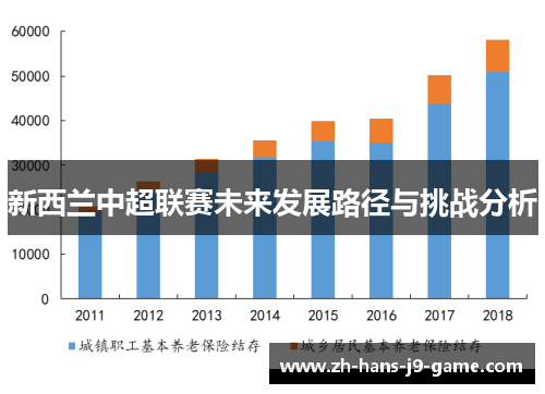 新西兰中超联赛未来发展路径与挑战分析 新西兰中超联赛未来发展路径与挑战分析