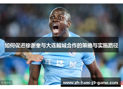如何促进穆谢奎与大连鲲城合作的策略与实施路径 如何促进穆谢奎与大连鲲城合作的策略与实施路径