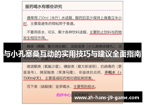 与小孔塞桑互动的实用技巧与建议全面指南 与小孔塞桑互动的实用技巧与建议全面指南