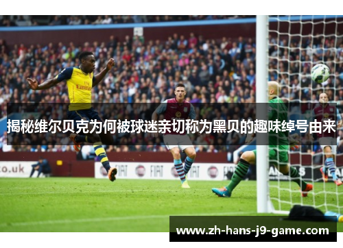 揭秘维尔贝克为何被球迷亲切称为黑贝的趣味绰号由来 揭秘维尔贝克为何被球迷亲切称为黑贝的趣味绰号由来