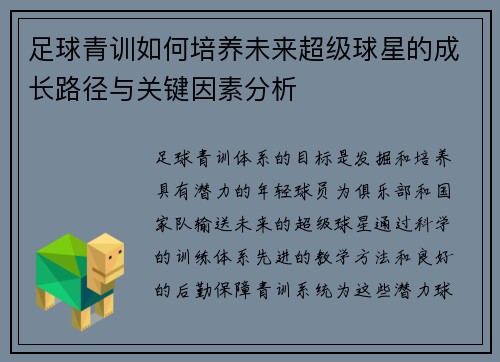 足球青训如何培养未来超级球星的成长路径与关键因素分析